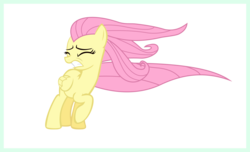 Size: 10111x6141 | Tagged: safe, artist:sagegami, fluttershy, pegasus, pony, g4, rainbow falls, absurd resolution, female, simple background, solo, transparent background, vector, wind