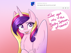 Size: 1280x960 | Tagged: safe, artist:sugarberry, princess cadance, g4, ask-cadance, female, solo, tumblr