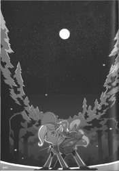 Size: 1040x1486 | Tagged: safe, artist:rikose, trixie, pony, unicorn, g4, clothes, female, forest, grayscale, mare, monochrome, moon, night, solo