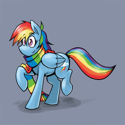 Size: 800x800 | Tagged: safe, artist:romanrazor, rainbow dash, g4, clothes, female, scarf, solo