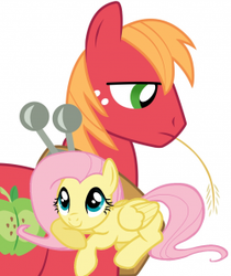 Size: 250x297 | Tagged: safe, big macintosh, fluttershy, earth pony, pony, g4, fanfic, fanfic art, fanfic cover, male, ship:fluttermac, shipping, simple background, stallion, straight, vector, white background