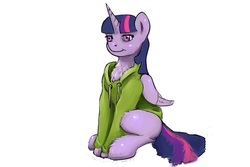 Size: 768x512 | Tagged: artist needed, safe, twilight sparkle, alicorn, pony, g4, chest fluff, clothes, female, hoodie, mare, solo, twilight sparkle (alicorn)