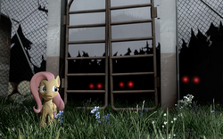 Size: 1680x1050 | Tagged: safe, artist:commanderjackshit, fluttershy, g4, 3d, gmod