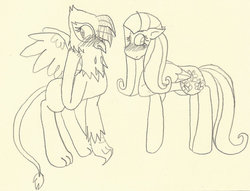 Size: 1021x782 | Tagged: safe, artist:creamecream, fluttershy, gilda, griffon, g4, blushing, embarrassed, gildashy, shipping, sketch