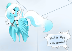 Size: 900x645 | Tagged: safe, artist:haydee, oc, oc only, pegasus, pony, bronycon, female, flying, mare, raincloud, solo, speech bubble