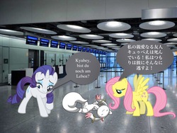 Size: 720x540 | Tagged: safe, fluttershy, rarity, g4, airport, death, emiri katou, german, incubator (species), irl, japanese, kyubey, photo, ponies in real life, puella magi madoka magica, rubina kuraoka, sad, somber, voice actor joke