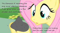 Size: 800x450 | Tagged: safe, edit, edited screencap, screencap, fluttershy, a bird in the hoof, g4, ash, crack, drugs, elements of harmony, female, insane pony thread, solo, text