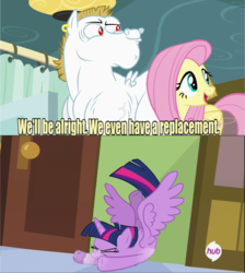 Size: 641x715 | Tagged: safe, edit, edited screencap, screencap, bulk biceps, fluttershy, twilight sparkle, alicorn, pony, g4, rainbow falls, female, mare, meme, replacement meme, twilight sparkle (alicorn)