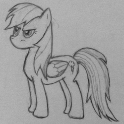 Size: 1379x1381 | Tagged: safe, artist:aliceb2542, rainbow dash, g4, female, monochrome, solo, traditional art