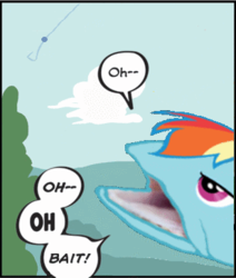 Size: 308x363 | Tagged: safe, idw, official comic, rainbow dash, rainbow trout, g4, spoiler:comic, bait, reaction image, this is bait