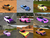 Size: 800x600 | Tagged: safe, apple bloom, applejack, fluttershy, pinkie pie, rainbow dash, rarity, scootaloo, sweetie belle, twilight sparkle, g4, custom skins, cutie mark crusaders, trackmania