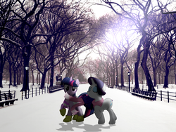 Size: 1920x1440 | Tagged: safe, artist:moongazeponies, artist:mr-blitz, artist:quanno3, rarity, twilight sparkle, g4, bench, boots, central park, clothes, irl, light post, new york city, photo, ponies in real life, scarf, snow, tree, vector