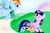 Size: 1024x683 | Tagged: safe, artist:biosonic100, rainbow dash, twilight sparkle, oc, oc:event horizon, oc:gliding line, alicorn, pony, g4, colt, female, foal, male, mama twilight, mare, offspring, parent:flash sentry, parent:rainbow dash, parent:soarin', parent:twilight sparkle, parents:flashlight, parents:soarindash, twilight sparkle (alicorn)