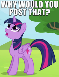 Size: 500x650 | Tagged: safe, twilight sparkle, alicorn, pony, g4, rainbow falls, caption, d:, disgusted, female, frown, image macro, looking up, mare, meme, open mouth, reaction image, solo, standing, twilight sparkle (alicorn), upset, why would you post that