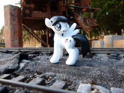 Size: 4320x3240 | Tagged: safe, artist:otherunicorn, oc, oc only, pegasus, pony, fallout equestria, figurine, solo