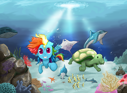 Size: 1600x1169 | Tagged: safe, artist:novaquinmat, rainbow dash, tank, dolphin, manta ray, pegasus, pony, starfish, tortoise, whale, g4, bubble, coral, day, fishes, smiling, sun light, swimming, underwater