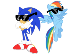 Size: 600x427 | Tagged: artist needed, safe, artist:snicket324, edit, editor:snicket324, rainbow dash, pegasus, pony, g4, cool, crossed hooves, crossover, duo, female, male, simple background, sonic the hedgehog, sonic the hedgehog (series), sunglasses, transparent background, vector