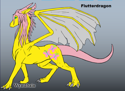 Size: 740x540 | Tagged: safe, fluttershy, dragon, g4, dragonified, female, flutterdragon, solo, species swap