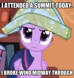 Size: 1494x1570 | Tagged: safe, twilight sparkle, alicorn, pony, g4, three's a crowd, female, hat, image macro, mare, meme, paper hat, solo, twilight sparkle (alicorn)