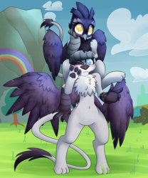 Size: 5000x6010 | Tagged: safe, artist:extradan, giselle, irma, natalya, griffon, semi-anthro, g4, rainbow falls, season 4, absurd resolution, belly button, bipedal, blushing, bush, cloud, cute, duo, duo female, featured image, featureless crotch, female, griffons riding griffons, leaning, paw pads, peace sign, riding, smiling, tree, wink