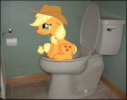 Size: 1024x808 | Tagged: safe, artist:navitaserussirus, applejack, earth pony, pony, g4, but why, crying, female, implied pooping, irl, literal butthurt, mare, meme, ouch, pain, photo, ponies in real life, potty, potty time, scrunchy face, sitting on toilet, solo, toilet, toilet paper