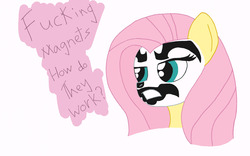 Size: 2700x1685 | Tagged: safe, artist:thelimeofdoom, fluttershy, g4, female, insane clown posse, meme, shaggy 2 dope, solo