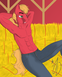 Size: 1920x2400 | Tagged: safe, artist:mythicaljazz, big macintosh, earth pony, anthro, g4, barn, belly button, clothes, topless