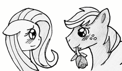 Size: 1368x798 | Tagged: safe, artist:littleovertures, big macintosh, fluttershy, earth pony, pony, g4, male, monochrome, rose, ship:fluttermac, shipping, sketch, stallion, straight