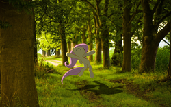 Size: 1920x1200 | Tagged: safe, artist:bengo538, artist:destructodash, edit, fluttershy, g4, forest, grass, happy, irl, pathway, photo, ponies in real life, shadow, tree, vector