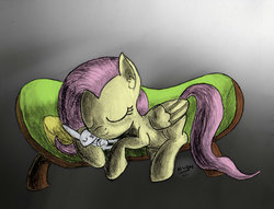 Size: 1024x783 | Tagged: safe, artist:hushnowquietnow, angel bunny, fluttershy, g4, sleeping