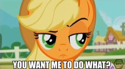 Size: 646x356 | Tagged: safe, applejack, g4, three's a crowd, female, frown, image macro, meme, raised eyebrow, reaction image, solo, unamused, unconvinced applejack