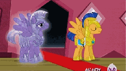 Size: 432x242 | Tagged: safe, screencap, amethyst stone, flash sentry, crystal pegasus, crystal pony, pegasus, pony, g4, three's a crowd, animated, don't believe her lies, door, exit, hub logo, hubble, male, stallion, the hub