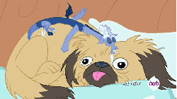 Size: 576x324 | Tagged: safe, screencap, discord, dog, draconequus, g4, three's a crowd, animated, blue flu, gif, golden oaks library, hub logo, hubble, male, pekingese, pillow, the hub, tongue out