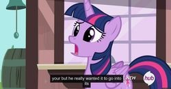 Size: 1600x830 | Tagged: safe, screencap, twilight sparkle, alicorn, pony, g4, three's a crowd, female, hub logo, mare, meme, out of context, solo, twilight sparkle (alicorn), youtube caption