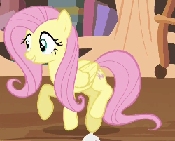 Size: 740x595 | Tagged: safe, edit, edited screencap, screencap, fluttershy, pegasus, pony, g4, three's a crowd, animated, cropped, cute, excited, female, folded wings, mare, prancing, shyabetes, solo, trotting, trotting in place, wings