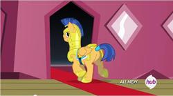 Size: 641x357 | Tagged: safe, screencap, flash sentry, pony, g4, three's a crowd, butt, male, plot, solo, stallion