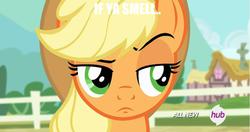 Size: 1920x1010 | Tagged: safe, applejack, g4, three's a crowd, female, meme, raised eyebrow, solo, the rock, unconvinced applejack, wwe