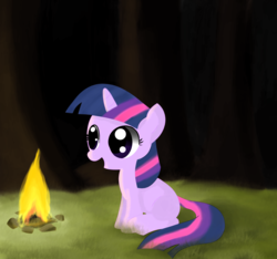 Size: 3532x3312 | Tagged: safe, artist:miaowwww, twilight sparkle, g4, campfire, female, filly, solo