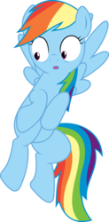 Size: 5000x10174 | Tagged: safe, artist:darknisfan1995, rainbow dash, g4, absurd resolution, female, simple background, solo, transparent background, vector