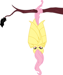 Size: 5000x5912 | Tagged: safe, artist:darknisfan1995, fluttershy, bat pony, pony, bats!, g4, absurd resolution, female, flutterbat, hanging, prehensile tail, race swap, simple background, solo, tail, transparent background, tree, upside down