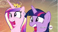 Size: 675x374 | Tagged: safe, screencap, princess cadance, twilight sparkle, alicorn, pony, g4, three's a crowd, animated, duo, female, hub logo, hubble, mare, reaction image, screaming, sisters-in-law, the hub, twilight sparkle (alicorn)