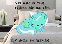 Size: 480x339 | Tagged: safe, lyra heartstrings, g4, bedroom, bronybait, eyes closed, female, meme, prone, sleeping, solo, what do