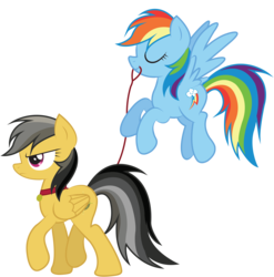 Size: 5972x6045 | Tagged: safe, artist:zoevulpez, daring do, rainbow dash, pegasus, pony, g4, absurd resolution, annoyed, backwards cutie mark, collar, eyes closed, female, flying, leash, lesbian, mare, missing accessory, mouth hold, pet play, pet tag, ship:daringdash, shipping, simple background, transparent background