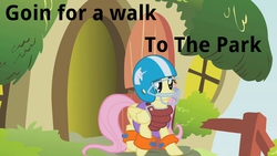 Size: 1280x720 | Tagged: source needed, safe, screencap, fluttershy, dragonshy, g4, season 1, caption, female, safety, solo