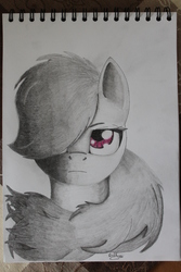 Size: 2848x4272 | Tagged: safe, artist:icecoldwulf, rainbow dash, g4, female, solo, traditional art