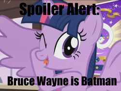 Size: 512x384 | Tagged: safe, twilight sparkle, alicorn, pony, g4, three's a crowd, batman, bruce wayne, captain obvious, dc comics, female, image macro, mare, no shit sherlock, solo, spoiler alert, twilight sparkle (alicorn), wink, you don't say