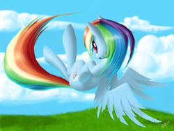 Size: 1133x850 | Tagged: safe, artist:zigword, rainbow dash, g4, female, solo