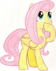 Size: 2004x2539 | Tagged: safe, artist:muffin mane, fluttershy, pegasus, pony, g4, sonic rainboom (episode), female, folded wings, mare, simple background, solo, traditional art, white background, wings