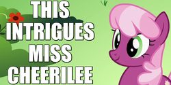 Size: 800x400 | Tagged: safe, edit, edited screencap, screencap, cheerilee, g4, the cutie pox, caption, female, image macro, intrigued, reaction image, smiling, solo