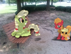 Size: 2592x1944 | Tagged: safe, artist:jennieoo, artist:kysss90, artist:tokkazutara1164, applejack, big macintosh, granny smith, earth pony, pony, g4, baby, babyjack, bench, bush, colt, diaper, fencing, filly, irl, male, photo, ponies in real life, show accurate, tree, vector, young granny smith, younger